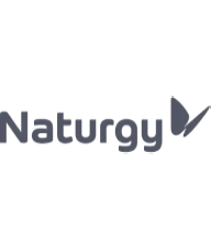 Naturgy
